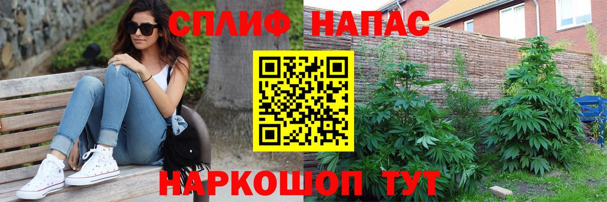 Канабис AK-47 Углич